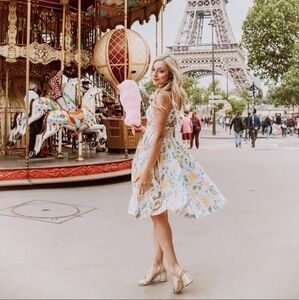 Gal Meets Glam Abigail‎ Dress sz 12 Midi Fit + Flare Painted Aster Feminine Rare